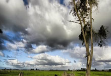 展望米兰冬奥会，中国速度滑冰队目标：再夺金中国新闻网.